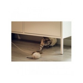Giocattolo per gatti Gloria Renzo Mouse