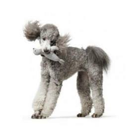 Giocattoli per cani Hunter Skagen Grigio Foca