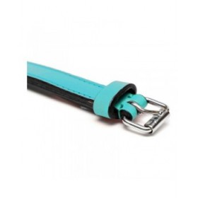 Collare per Cani Gloria Trapunta Turquoise 40 cm (40 x 2 cm)