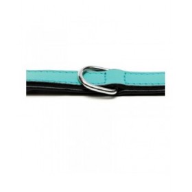 Collare per Cani Gloria Trapunta Turquoise 40 cm (40 x 2 cm)