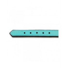 Collare per Cani Gloria Trapunta Turquoise 40 cm (40 x 2 cm)