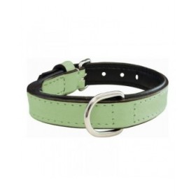 Collare per Cani Gloria Trapunta Verde (40 x 2 cm)
