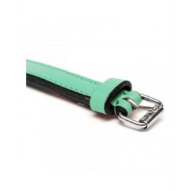 Collare per Cani Gloria Trapunta Verde (40 x 2 cm)