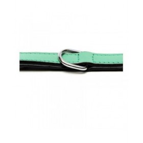 Collare per Cani Gloria Trapunta Verde (40 x 2 cm)