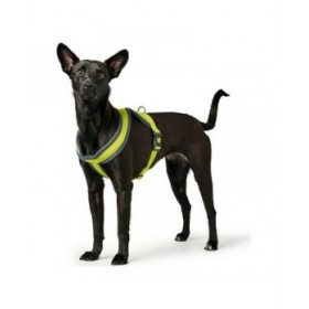Imbracatura per Cani Hunter London Comfort XS-S 39-47 cm Lime