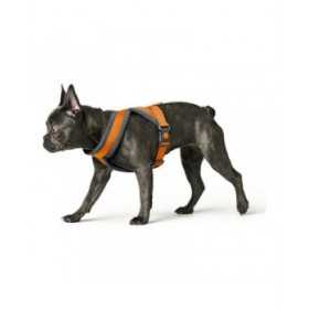 Imbracatura per Cani Hunter London Comfort 48-56 cm Arancio Taglia S/M