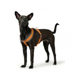 Imbracatura per Cani Hunter London Comfort Arancio S/M 52-62 cm