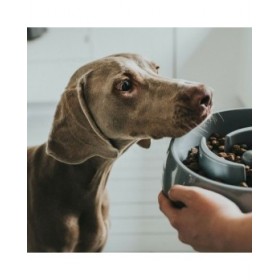 Ciotola per cani Hunter Melammina 550 ml