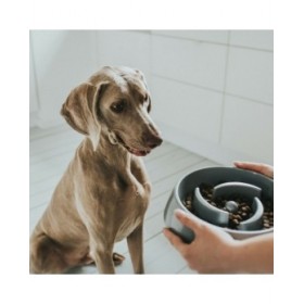 Ciotola per cani Hunter Melammina 900 ml