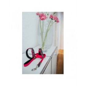 Guinzaglio per Cani Hunter CONVENIENCE 2 x 120 cm Rosa