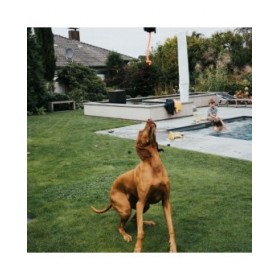 Contenitore Hunter Dummy Snacks Nero Arancio