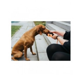 Contenitore Hunter Dummy Snacks Nero Arancio