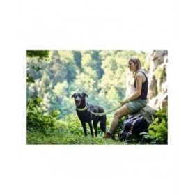 Guinzaglio per Cani Hunter HILO Lime (200 cm)