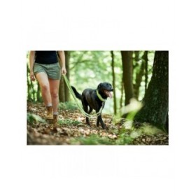 Guinzaglio per Cani Hunter HILO Lime (200 cm)
