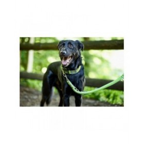 Guinzaglio per Cani Hunter HILO Lime (200 cm)