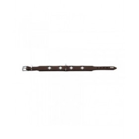 Collare per Cani Hunter Swiss 35-43 cm