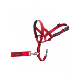 Collari da addestramento per cani Company of Animals Halti Museruola (40-54 cm)