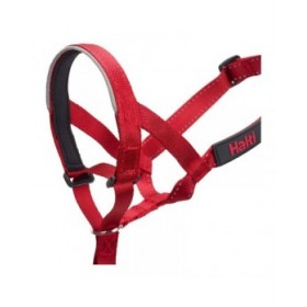 Collari da addestramento per cani Company of Animals Halti Museruola (40-54 cm)