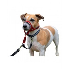 Collari da addestramento per cani Company of Animals Halti Museruola (40-54 cm)