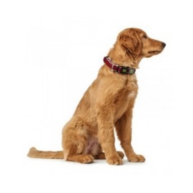 Collare per Cani Hunter Plus Filo Rosso Taglia L (40-60 cm)