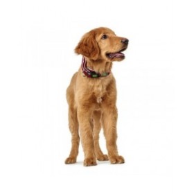 Collare per Cani Hunter Plus Filo Rosso Taglia L (40-60 cm)