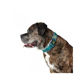 Collare per Cani Hunter Plus Filo turquoise Turchese Taglia XL (45-70 cm)