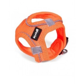 Imbracatura per Cani Gloria Air Mesh Trek Star Regolabile Arancio Taglia XXXS (18-20 cm)