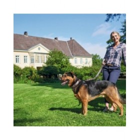 Collare per Cani Hunter Swiss 38-43.5 cm