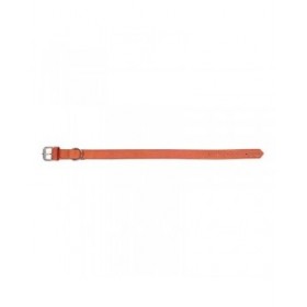 Collare per Cani Gloria Oasis Rosso (70 x 3 cm)