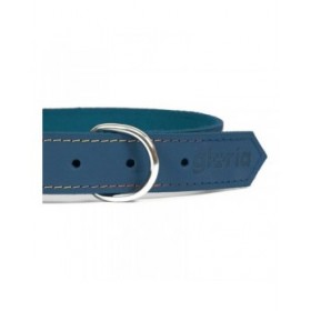 Collare per Cani Gloria Oasis Azzurro (65 x 3 cm)