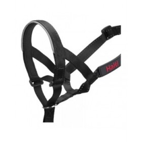 Collari da addestramento per cani Company of Animals Halti Nero Museruola (29-36 cm)