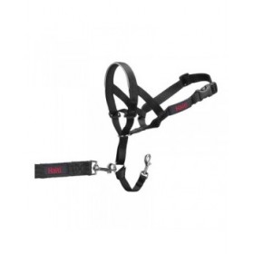 Collari da addestramento per cani Company of Animals Halti Nero Museruola (29-36 cm)