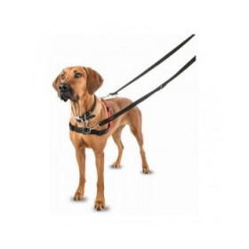Imbracatura per Cani Company of Animals Halti Nero/Rosso Taglia S (36-64 cm)