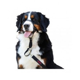 Collari da addestramento per cani Company of Animals Halti Nero Museruola (31-40 cm)