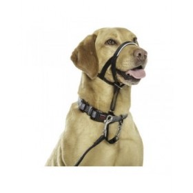 Collari da addestramento per cani Company of Animals Halti Nero Museruola (40-54 cm)