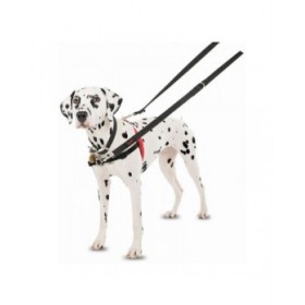 Imbracatura per Cani Company of Animals Halti Nero/Rosso Taglia M (58-86 cm)