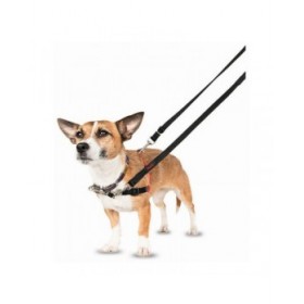 Imbracatura per Cani Company of Animals Halti Nero/Rosso Taglia M (58-86 cm)