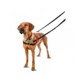 Imbracatura per Cani Company of Animals Halti Nero/Rosso L (80-120 cm)