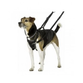 Imbracatura per Cani Company of Animals Halti Taglia S (26-36 cm)