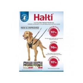 Imbracatura per Cani Company of Animals Halti Taglia S (26-36 cm)