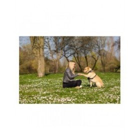 Imbracatura per Cani Company of Animals Halti Taglia M (34-56 cm)