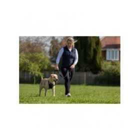 Imbracatura per Cani Company of Animals Halti Taglia M (34-56 cm)