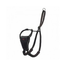 Imbracatura per Cani Company of Animals L Nero