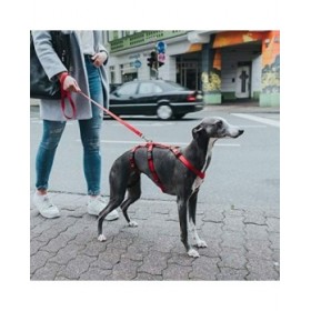 Imbracatura per Cani Hunter 48-70 cm Rosso S/M 36-51 cm
