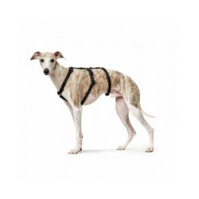Imbracatura per Cani Hunter Nero L M/L