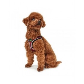 Imbracatura per Cani Hunter Hilo-Comfort Rosso Taglia M (55-60 cm)