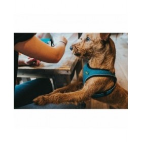 Imbracatura per Cani Hunter Nero 37-42 cm Antracite XS/S