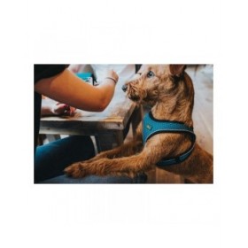 Imbracatura per Cani Hunter Hilo Comfort 55-60 cm Arancio M