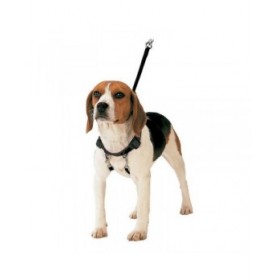 Imbracatura per Cani Gloria 40-60 cm Taglia L