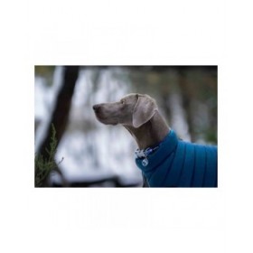 Cappotto per Cani Red Dingo Puffer Turchese 25 cm
